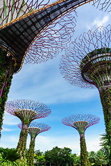 Image showing Garden by The Bay, Singapore