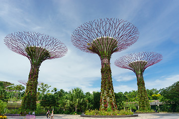 Image showing Garden by The Bay, Singapore