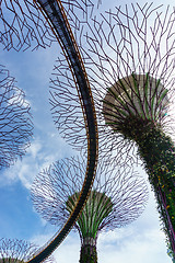 Image showing Garden by The Bay, Singapore