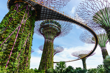 Image showing Garden by The Bay, Singapore