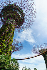 Image showing Garden by The Bay, Singapore