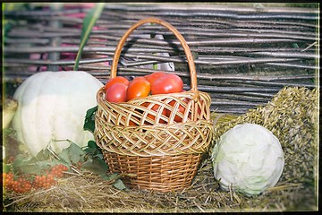 Image showing Vegetable harvest is sold at the fair.