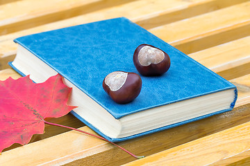 Image showing Books, chestnuts and fallen leaves on a Park bench.