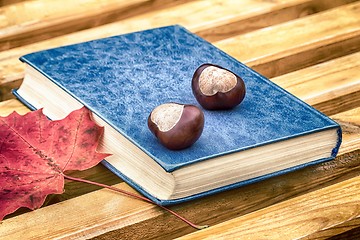 Image showing Books, chestnuts and fallen leaves on a Park bench.