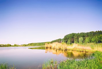 Image showing A large beautiful lake, with banks overgrown with reeds.