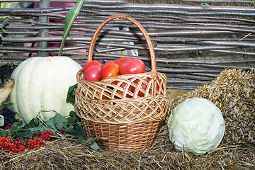 Image showing Vegetable harvest is sold at the fair.