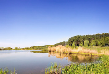 Image showing A large beautiful lake, with banks overgrown with reeds.