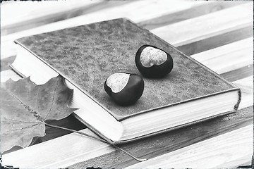 Image showing Books, chestnuts and fallen leaves on a Park bench.