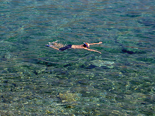 Image showing Snorkeling