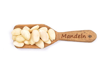 Image showing Blanched almonds on shovel