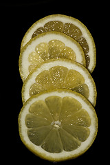 Image showing lemon slices