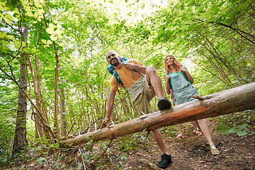 Image showing group of smiling friends with backpacks hiking