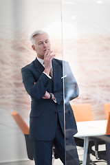 Image showing portrait of handsome senior business man at modern office