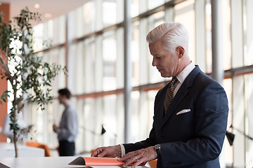 Image showing senior business man reading magazine