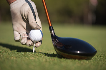 Image showing golf player placing ball on tee