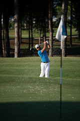 Image showing pro golfer hitting a sand bunker shot