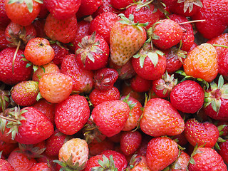 Image showing Strawberry fruits detail