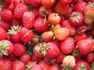 Image showing Strawberry fruits detail