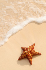 Image showing Starfish and ocean wave