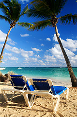 Image showing Sandy beach of tropical resort