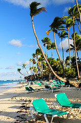 Image showing Sandy beach of tropical resort