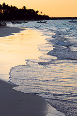 Image showing Tropical beach at sunset