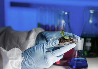 Image showing close up of scientist hands with plant and soil 