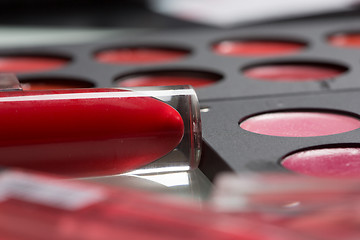 Image showing set of professional makeup artist. Different Lipstick