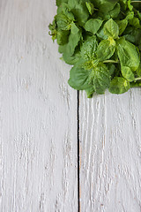 Image showing Fresh peppermint on wood 