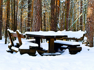 Image showing Table in Forest