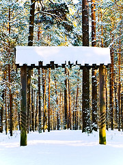 Image showing Winter Forest