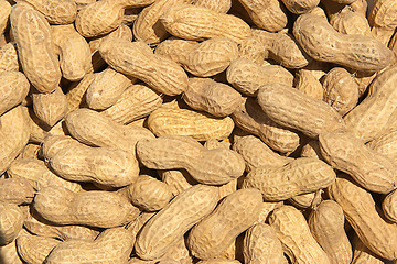 Image showing peanuts in shells