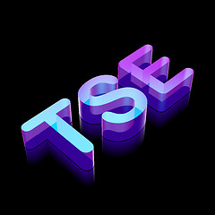 Image showing 3d neon glowing character TSE made of glass, vector illustration.
