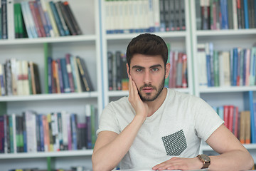 Image showing student study  in school library