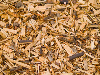 Image showing Woodchips