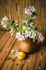 Image showing Ripe apple and blossoming branch of an apple-tree in a clay jar,