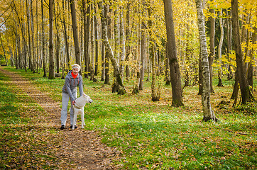 Image showing Woman with dog walking in the birch alley, sunny autumn day