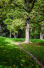 Image showing Footpath in old park, an autumn landscape