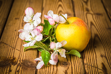 Image showing Ripe apple and blossoming branch of an apple-tree on a wooden su