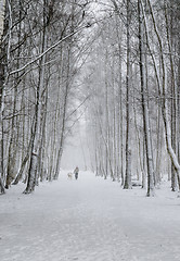 Image showing Woman with a dog on a snowy winter alley