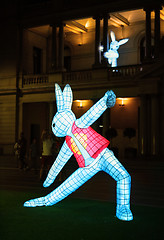 Image showing Chinese New Year - The Rabbit