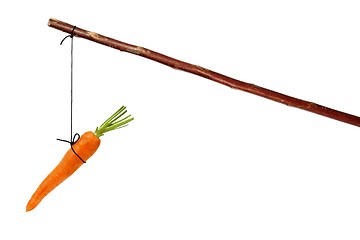 Image showing Carrot and stick