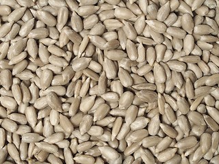 Image showing Sunflower seeds background