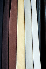 Image showing Buck leather