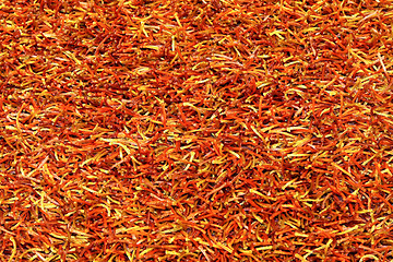 Image showing Carpet orange
