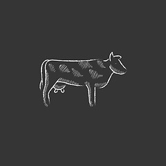 Image showing Cow. Drawn in chalk icon.