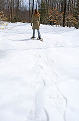Image showing Woman walking in snow shoes in the forest