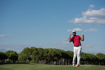 Image showing golf player hitting long shot