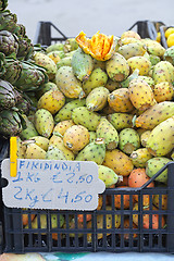 Image showing Indian Fig Opuntia