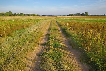 Image showing Dirtroad through a field